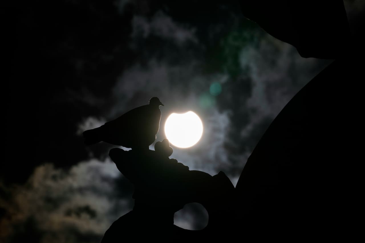 Eclipse solar anular hoy: así se vio en vivo el anillo de fuego este 17 de febrero 2026