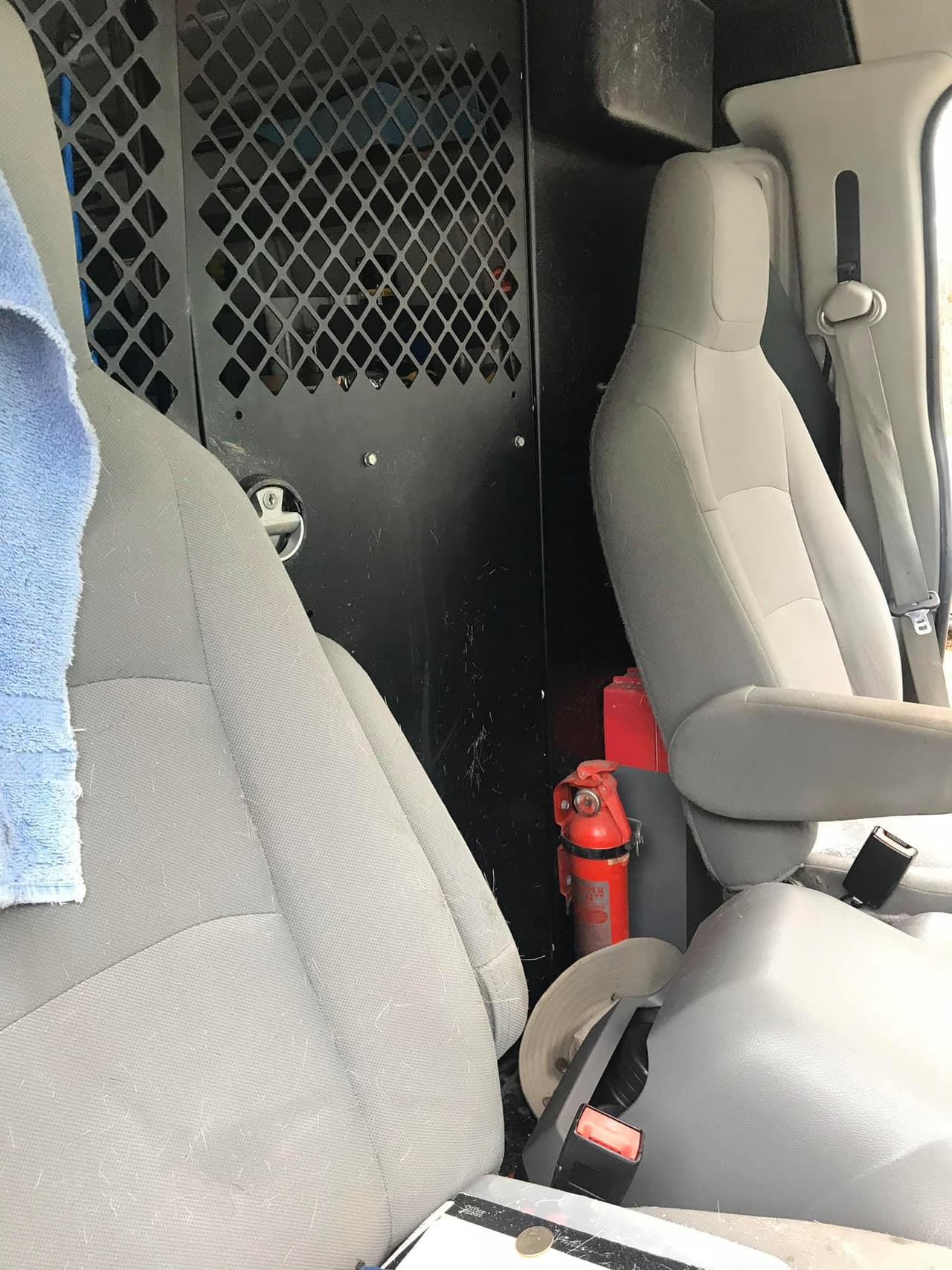 Según las autoridades, la camioneta atropelló al animal, el cual terminó en uno de los asientos delanteros.