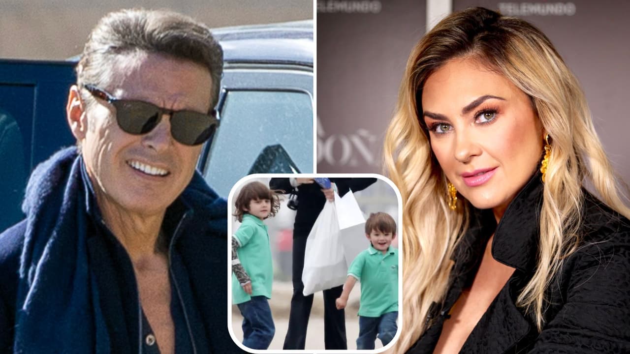 Revelan si Luis Miguel ve a sus hijos luego de que habría sido llamado “cucaracho” por Aracely Arámbula