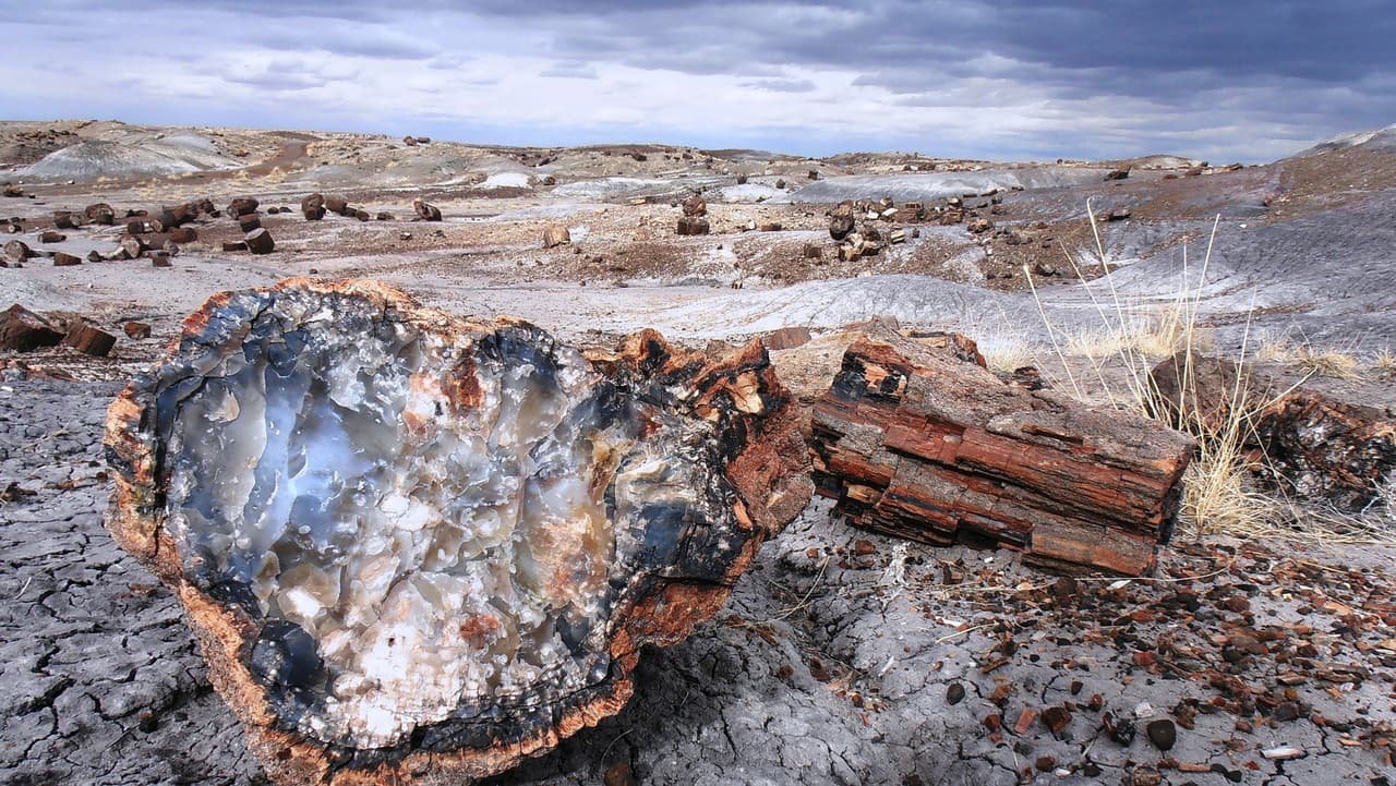 <b>Parque Nacional Petrified Forest.</b> Un destino único al que se llega en tres horas por el noreste de Phoenix. Este parque tiene una de las mayores concentraciones de madera petrificada del mundo. Lo que más recomiendan los expertos es darse una vuelta por el Desierto Pintado, conocer el Museo del Bosque Arco Iris y recorrer los pintorescos senderos del parque.