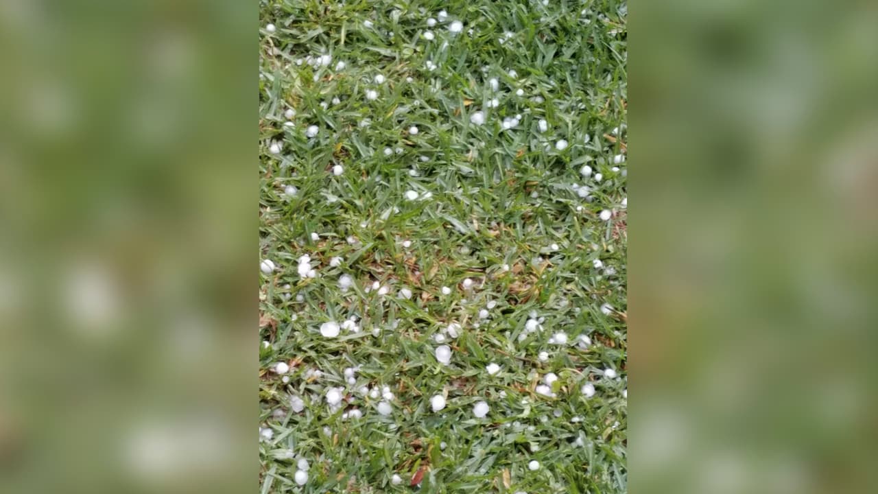 El Departamento de Salud del condado Harris decidió cerrar los
<a href="https://www.univision.com/local/houston-kxln/cierran-centros-de-pruebas-de-coronavirus-en-el-condado-harris-este-domingo">centros de pruebas de coronavirus</a> este domingo, debido al mal tiempo.