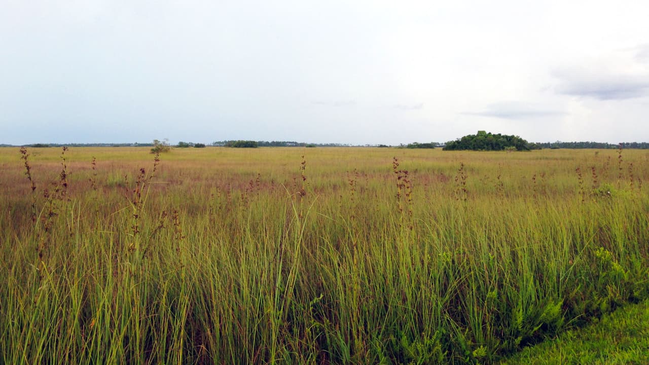 <br>Plano, bajo y sobre roca firme porosa, el Sur de Florida es extremamente vulnerable a los impactos de la subida del nivel del mar.