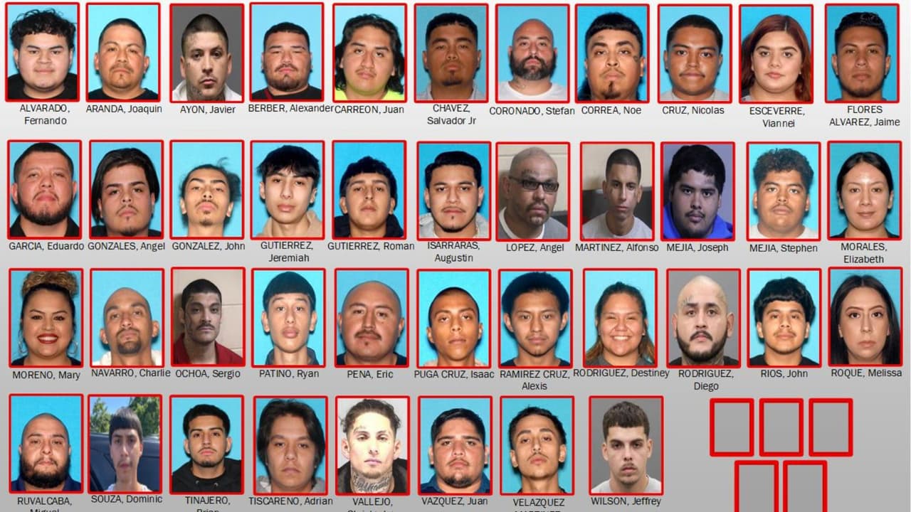 Golpe a Mafia Mexicana y pandilla Sureños: Operativo deja a 69 detenidos en California