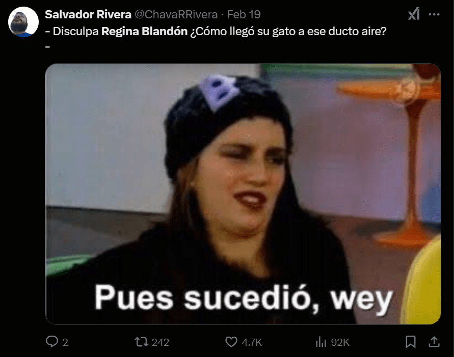 Fans hacen memes sobre el rescate del gato de Regina Blandón