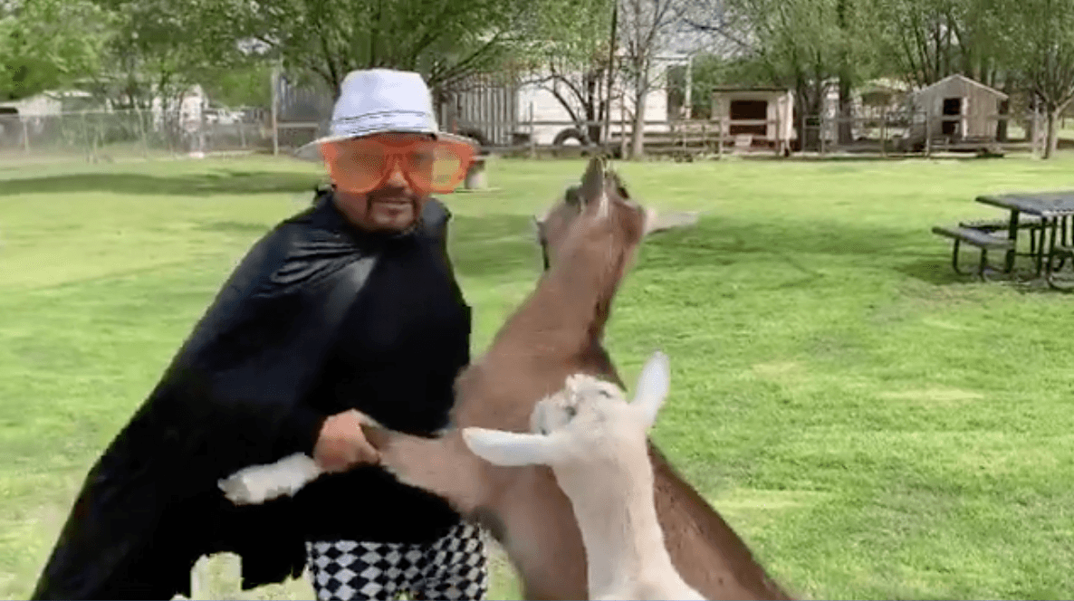 Sin embargo, después de dos semanas de encierro, parece que
<b>El Feito</b> ya se está volviendo locó, disfrazándose y bailando con sus animales al estilo Cepillín.