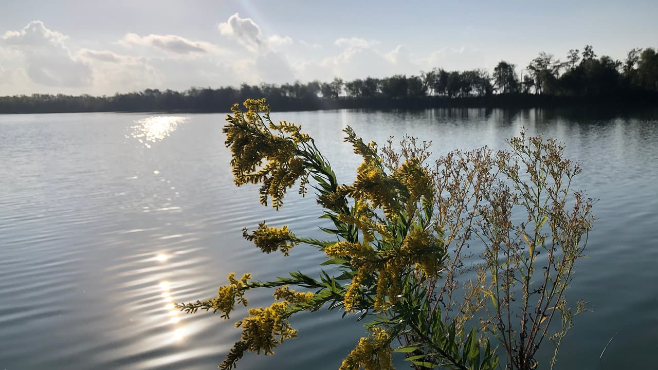 El Departamento de Parques y Vida Silvestre de Texas se ocupa de abastecer el lago cuatro veces al año.
