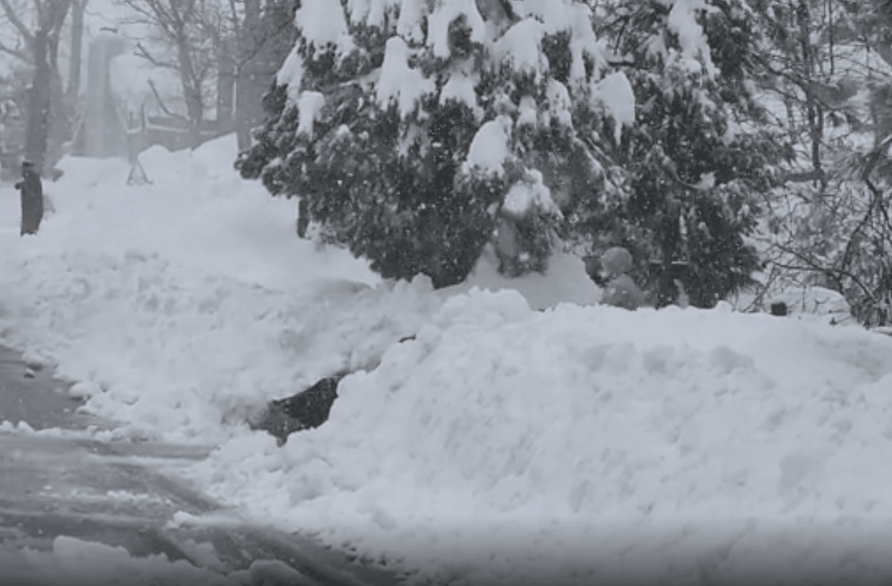 Las condiciones invernales dejaron de ser divertidas, para convertirse en preocupantes.