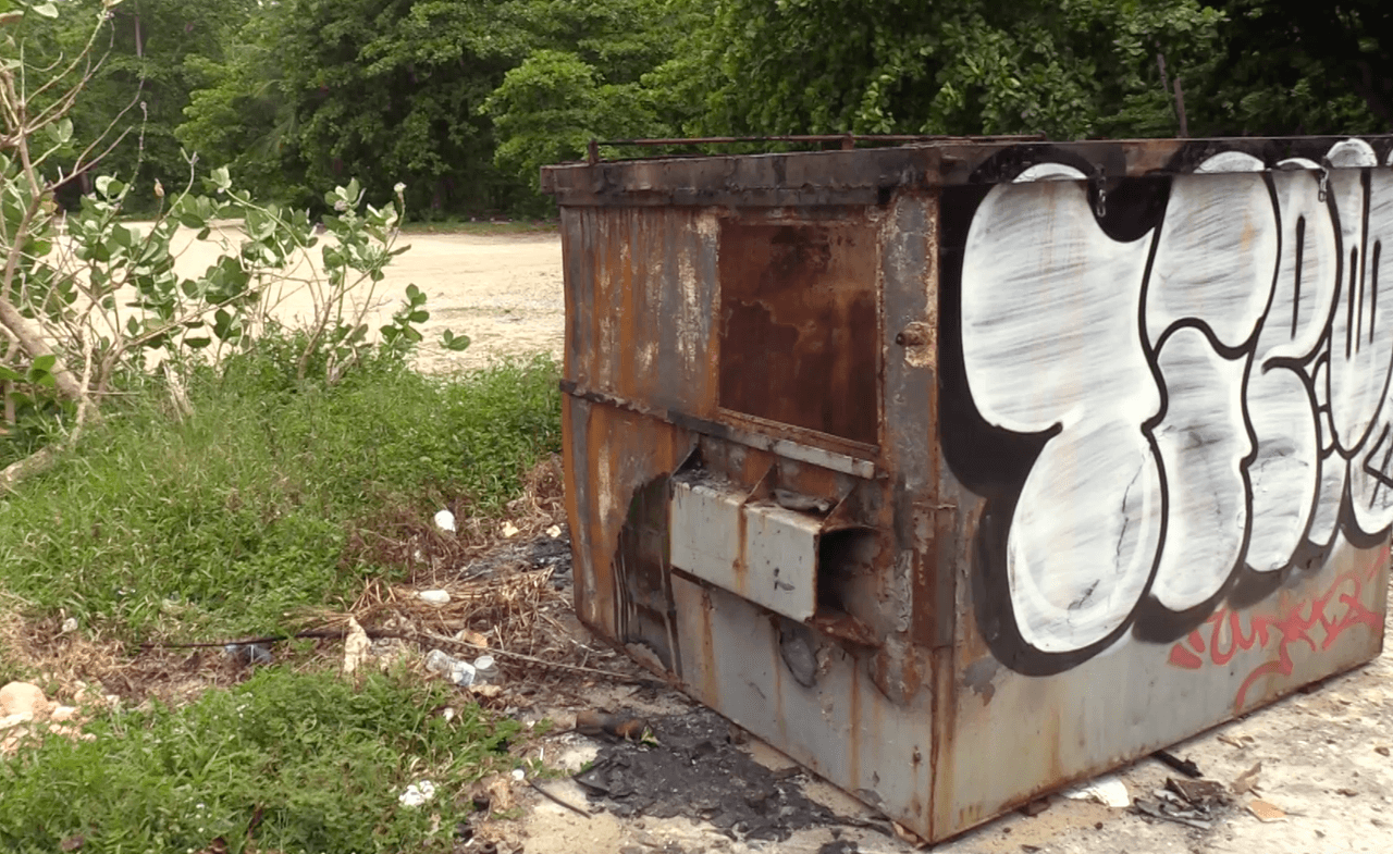 Estarán limpiando unos 3 km cuadrado saproximadamente. El área es extensa y al aire libre.