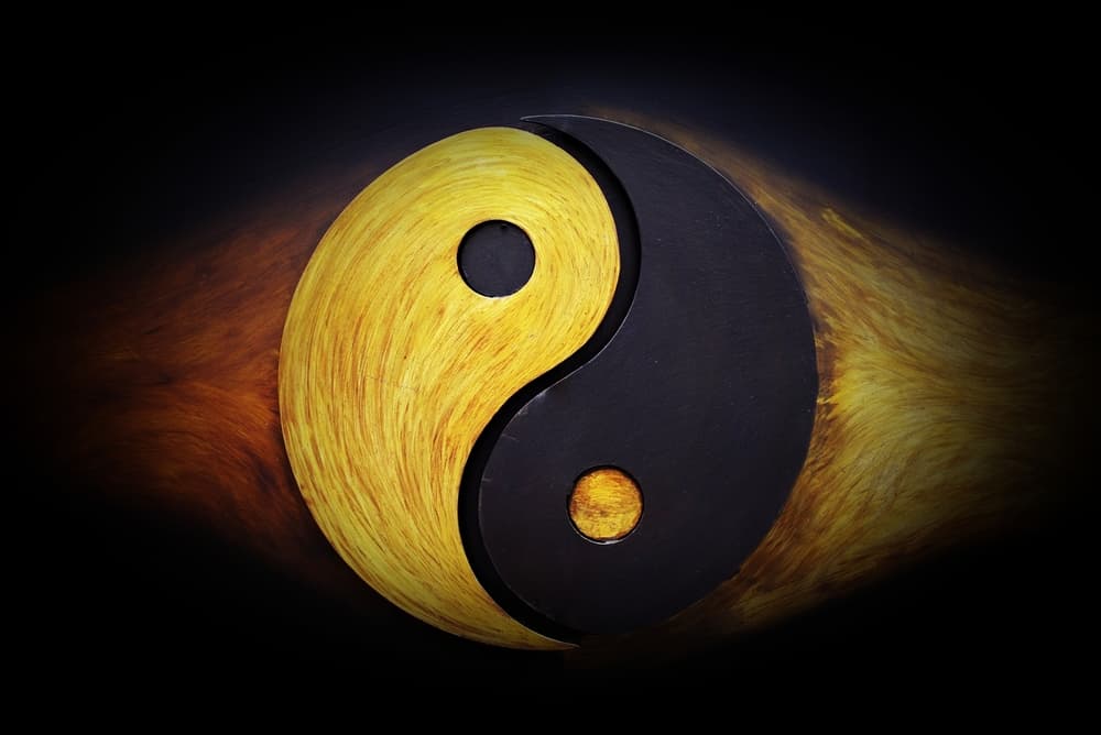 El encuentro peligroso surge cuando esa persona, en lugar de expresar y manifestar las mejores cualidades de su signo zodiacal, revela las otras, las latentes, las que tiene ocultas. No podemos olvidar que todos tenemos la polaridad positiva y negativa dentro de nosotros, el llamado “yin y yang”, la contradicción de los opuestos que es necesaria porque es la base de nuestra evolución personal.