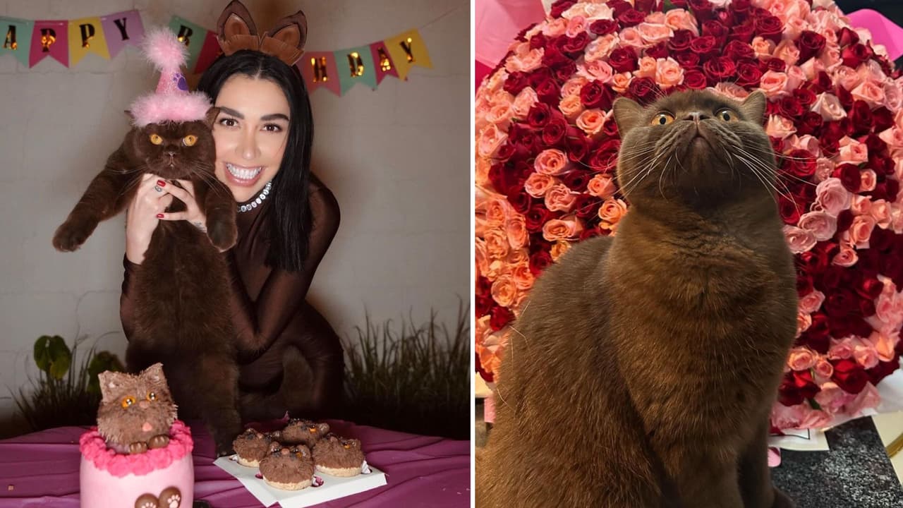 ‘Hijo’ de Karime da sus primeras razones por las que su madre debe ganar ‘La Casa de los Famosos México’