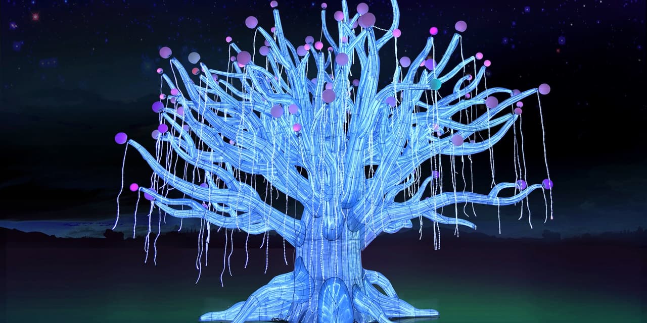 El paseo durante el día en el jardín botánico de Los Ángeles es una experiencia de contacto con la naturaleza, sin embargo, al visitarlo por la noche durante el festival de las linternas milenarias se convierte en otro mundo.