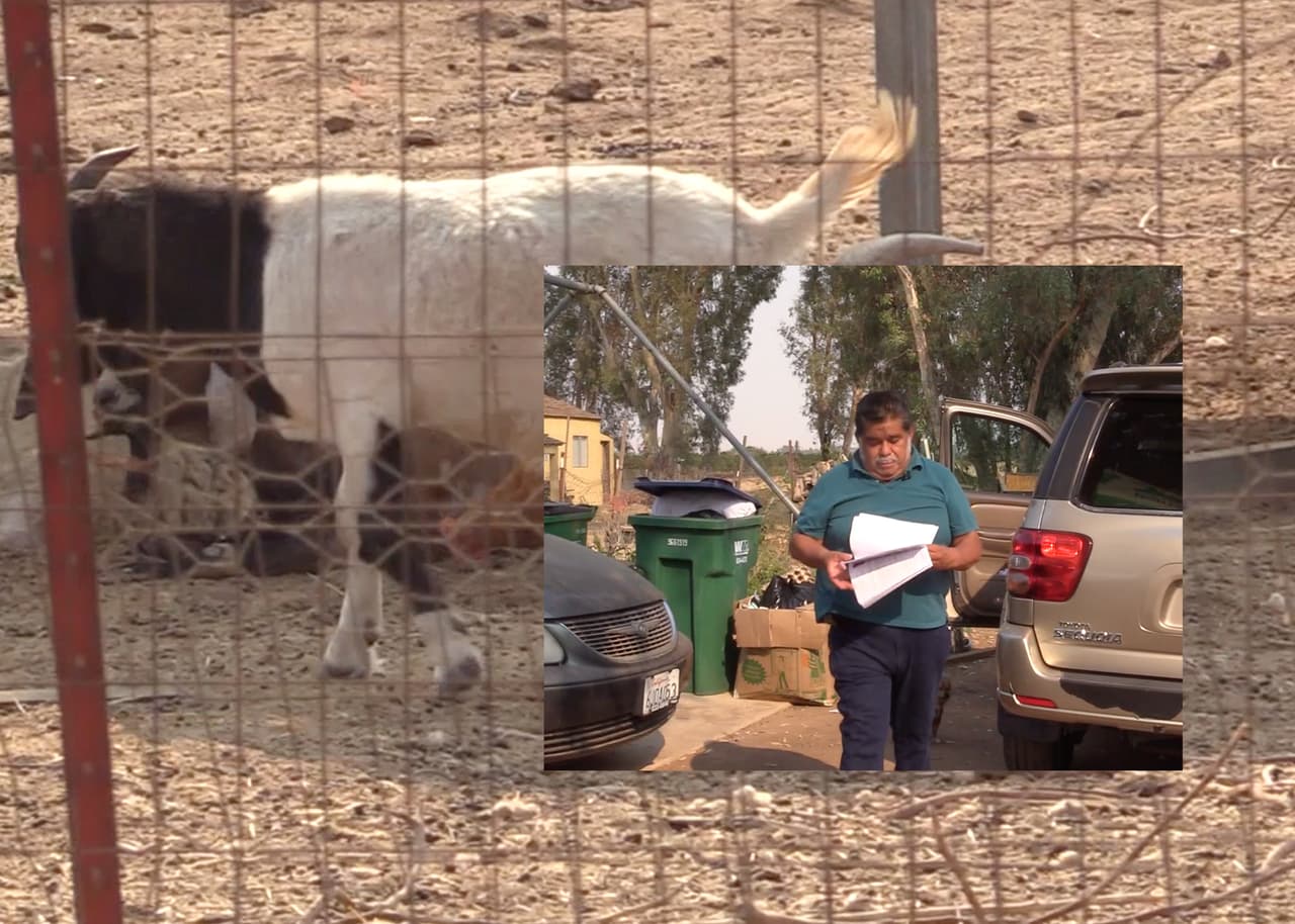 Vencieron el coronavirus y ahora enfrentan el desalojo desde su casa donde viven con unos 300 animales