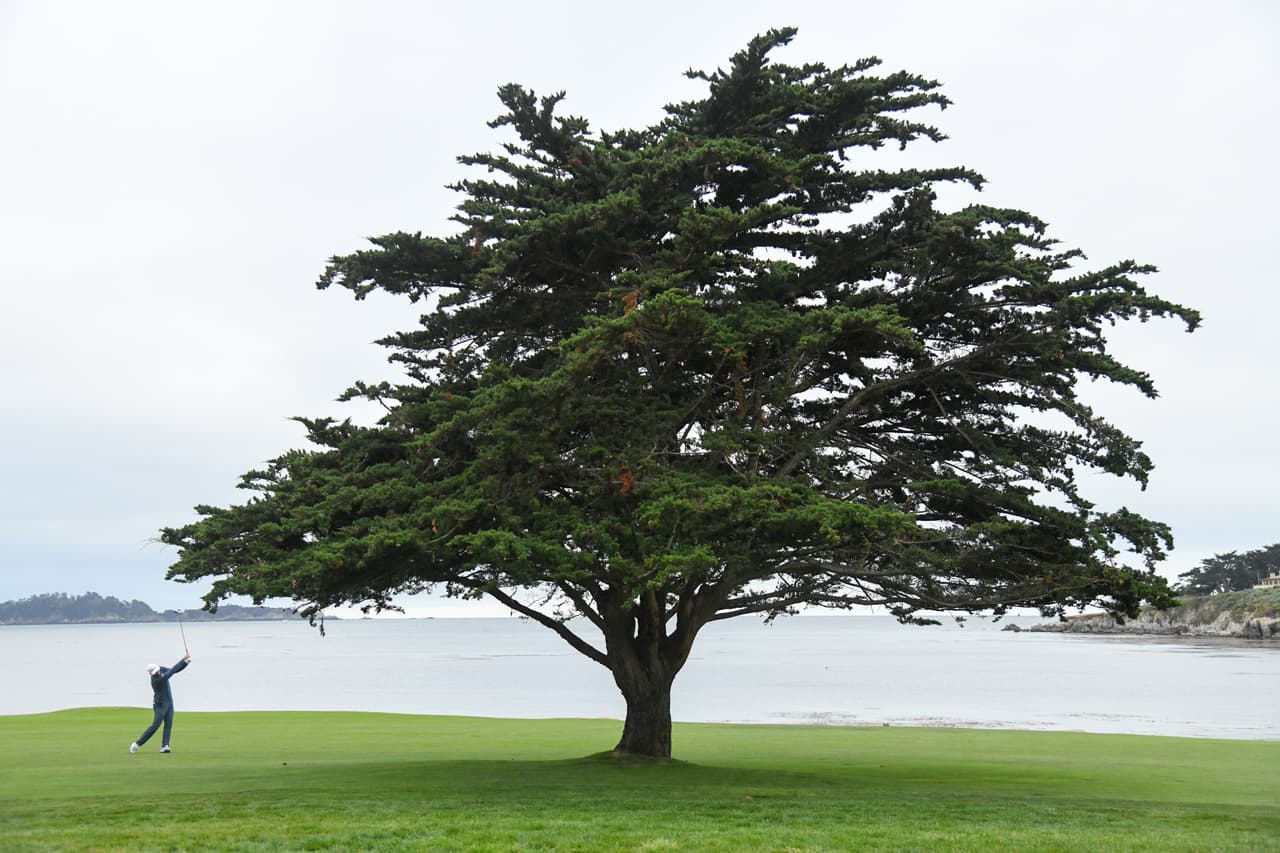 El campo de Pebble Beach en California ofrece postales espectaculares en el US Open de golf, el tercer torneo de 'Grand Slam' de la temporada de ese deporte.