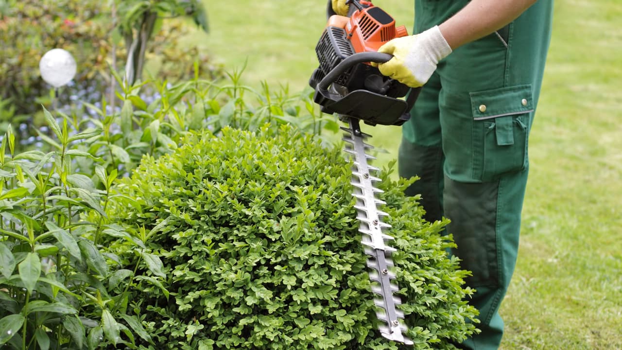 <h3 class="cms-H3-H3">Continuación voluntaria (Modalidad 40): mantener vivas tus semanas cotizadas</h3> Para
<b>quienes trabajaron en México con seguridad social y dejaron de cotizar</b>, existe la continuación voluntaria en el régimen obligatorio, más conocida como Modalidad 40. Este programa
<b>te permite seguir pagando cuotas de forma independiente y mantener activo tu historial</b>. El atractivo es que
<b> las semanas acumuladas cuentan para tu futura pensión</b>, y puedes incluso elegir un salario base más alto para mejorar el promedio con el que se calculará. El trámite también está disponible en línea, lo que facilita a los mexicanos en el extranjero seguir cotizando sin necesidad de regresar.
<b>No es un seguro de salud, sino una estrategia enfocada en pensiones.</b>