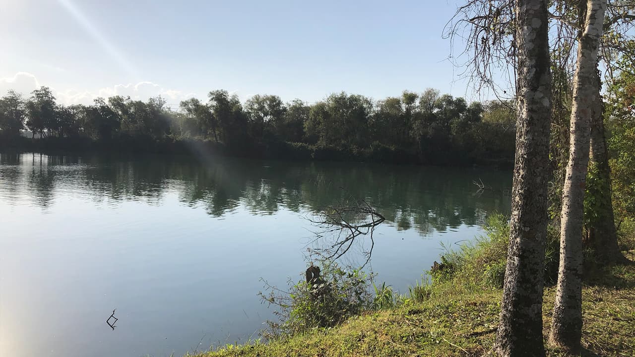 Aunque está lleno de una hermosa vegetación, el principal atractivo del parque es su lago.
