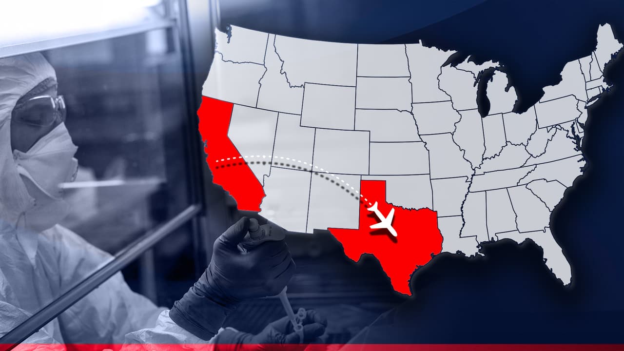 Llegan a San Antonio los pasajeros que estuvieron a bordo del crucero afectado por el nuevo coronavirus