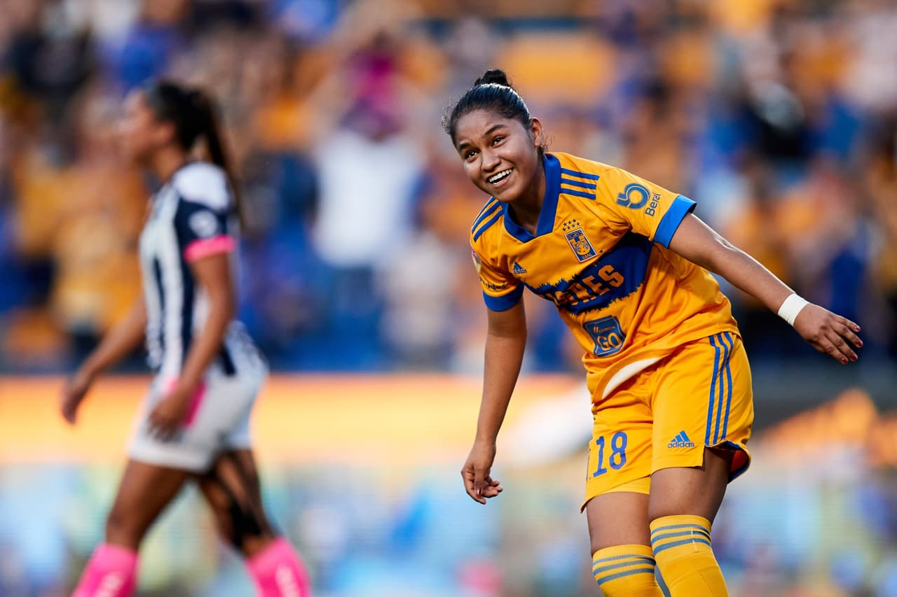 Tigres fue muy superior y avanzó con auoridad a la serie definitiva por el título