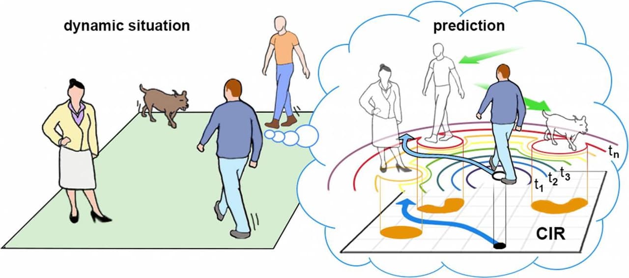 El cerebro congela el tiempo para tomar decisiones rápidas