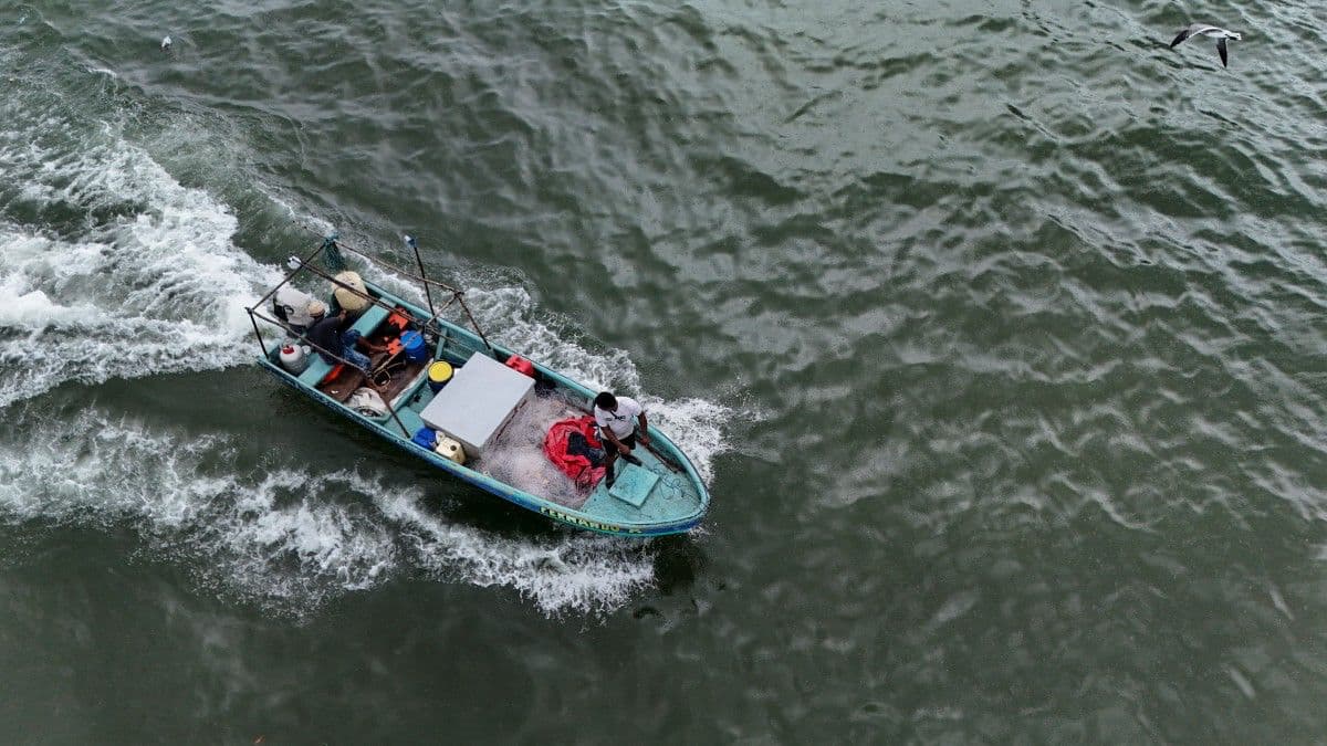 This aerial view shows fishermen returning to the port in Panama City after a day of fishing at sea on September 23, 2026.
<br>
<br>Small-scale fishermen in the eastern Pacific -from the shores of Ecuador and Peru to those of Panama and Guatemala- are suffering the impact of ocean warming caused by the El Niño phenomenon, which forces several species to migrate to deeper waters and leaves nets half empty and coastal communities in crisis.