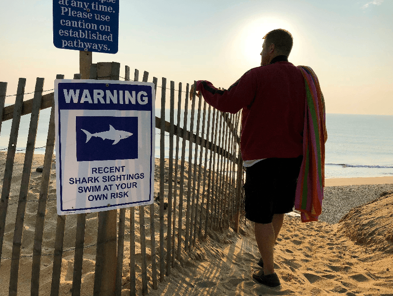 Playas de Cabo Cod en alerta por el posible segundo ataque de tiburón durante esta temporada