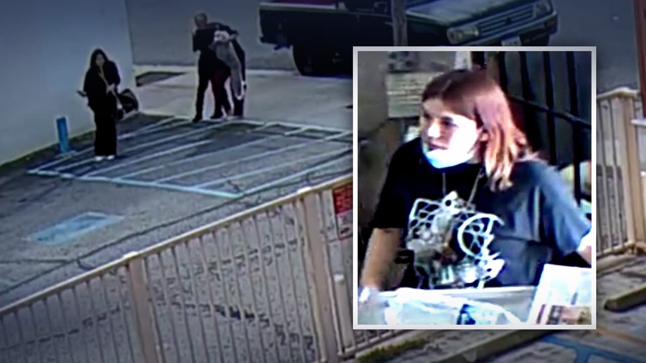 Mujer roba perro de tienda de mascotas en Bell Gardens; la dueña intenta detenerla y recibe un fuerte golpe