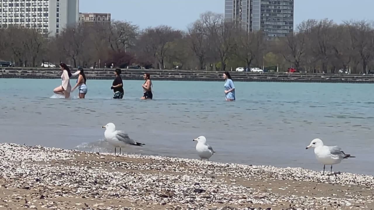 “El día está perfecto… ahorita va a estar más, más, más bueno”, dijo Carlos Rodríguez, uno de los muchos jóvenes que desafiaron el frío del agua sin pensarlo dos veces.