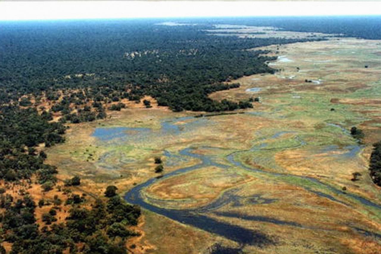 <b>República Centroafricana</b>
<br>
<br>
<b>Parque Nacional Manovo-Gounda St Floris.</b>
<br>
<br>“Las presiones de la caza furtiva y el pastoreo resaltan la necesidad de un plan de gestión o desarrollo funcional para el parque”,
<a href="https://whc.unesco.org/en/list/475"><u>argumenta la UNESCO</u></a>.