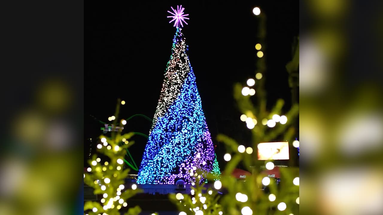 <a href="https://www.univision.com/local/dallas-kuvn/regresa-la-magia-de-la-epoca-navidena-al-six-flags-de-arlington-video">Un esplendor de luces brillantes</a> que cuenta con un árbol de navidad de 70 pies de alto llega a Holiday in the Park, en el Six Flags de Arlington.