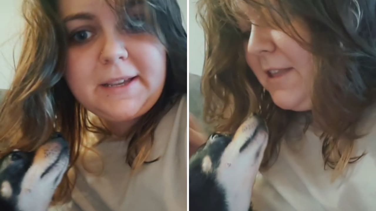 Kalee McGee junto a su perro chihuahueño adoptado Max