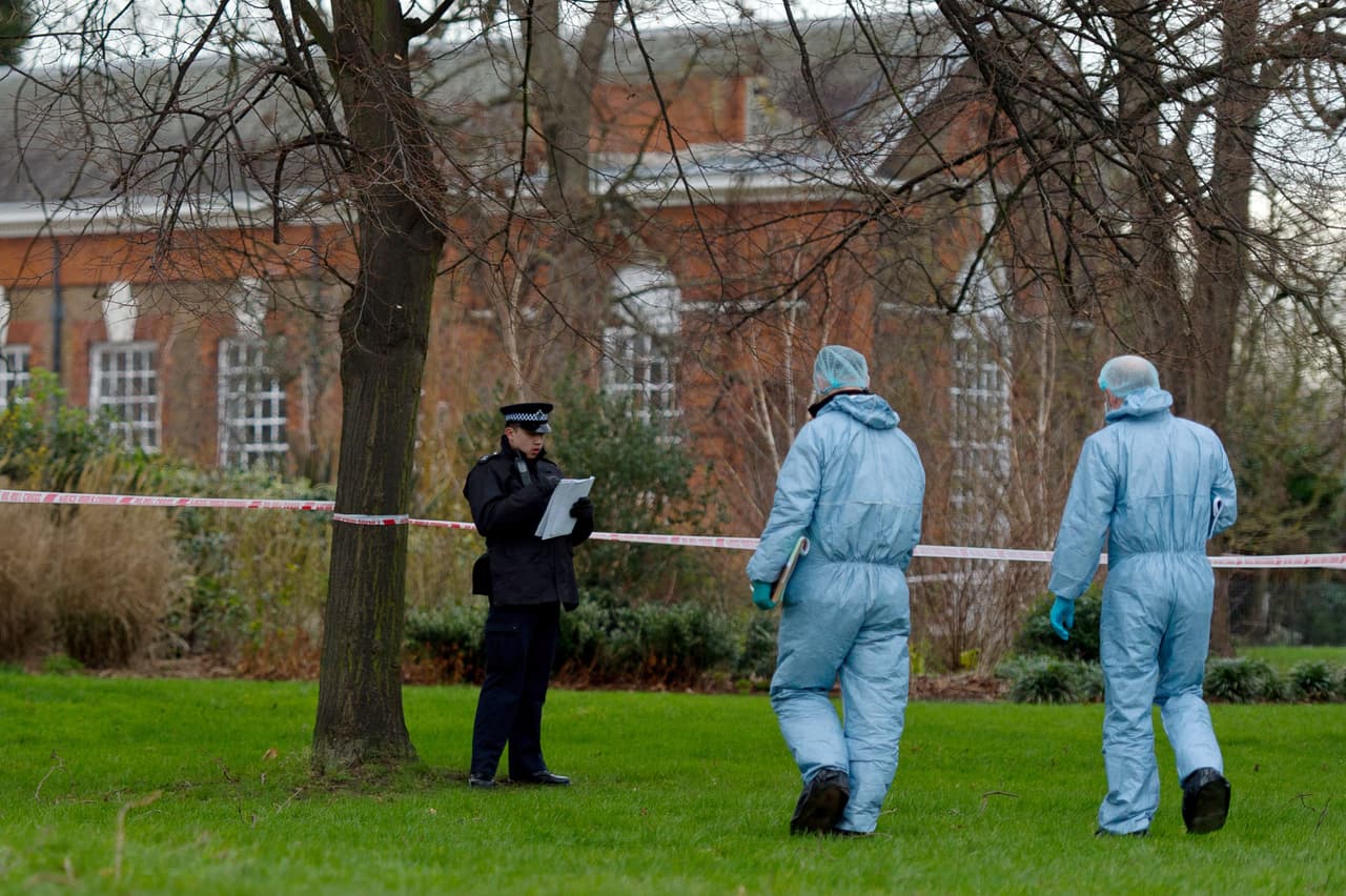 Un hombre de aproximadamente 40 años se prendió fuego y murió calcinado en los jardines frente al palacio.