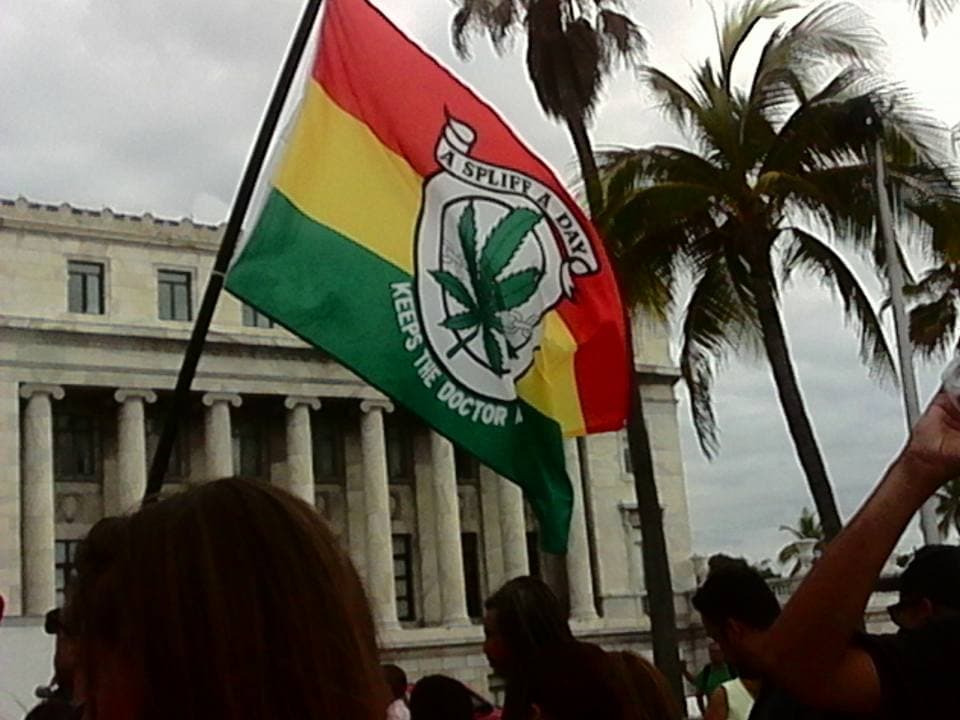 El miércoles, el grupo de la fundación Free Juana marchó, acompañado de cientos de personas en contra de la penalización de la marihuana en Puerto Rico. La policía detuvo a 22 personas que participaron de la manifestación frente al Capitolio por alegada posesión de la planta ilegal.