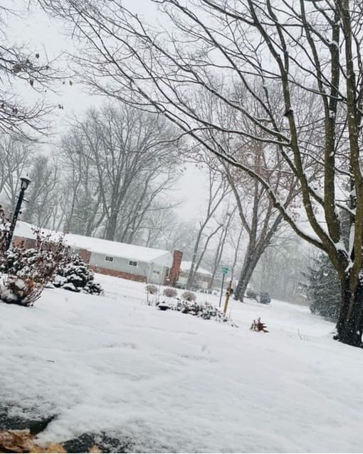 La franja al oeste del DMV fue la más afectada por la caída de nieve en la región.