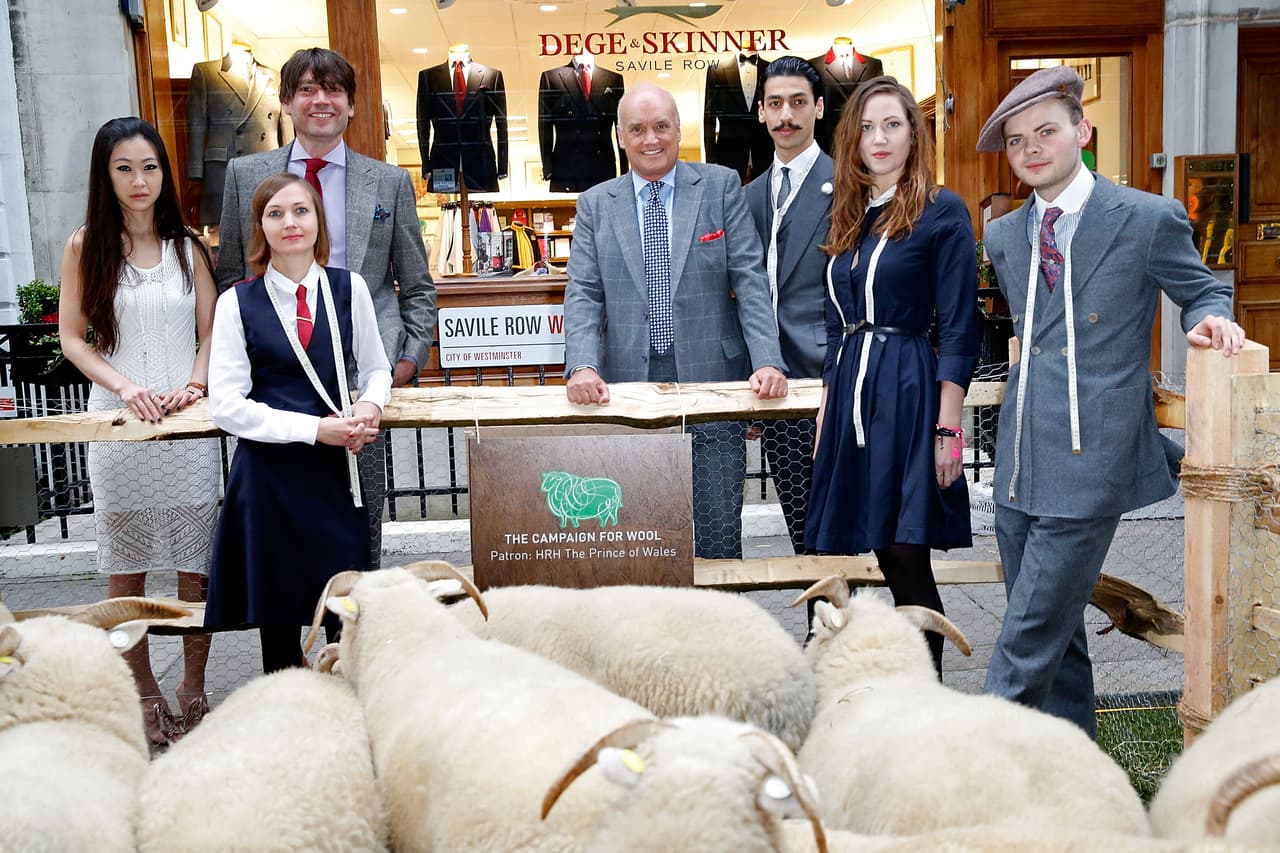 Las ovejas también tienen su momento especial, ¡justamente esta semana!