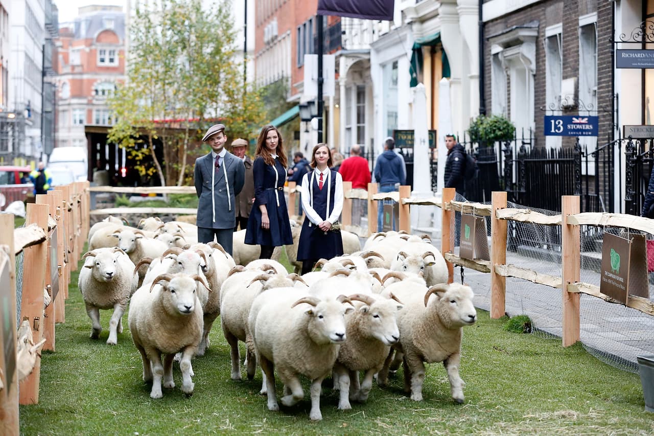 Estos animales tuvieron su momento de espectáculo al inaugurar la Semana de la Lana 2015.
