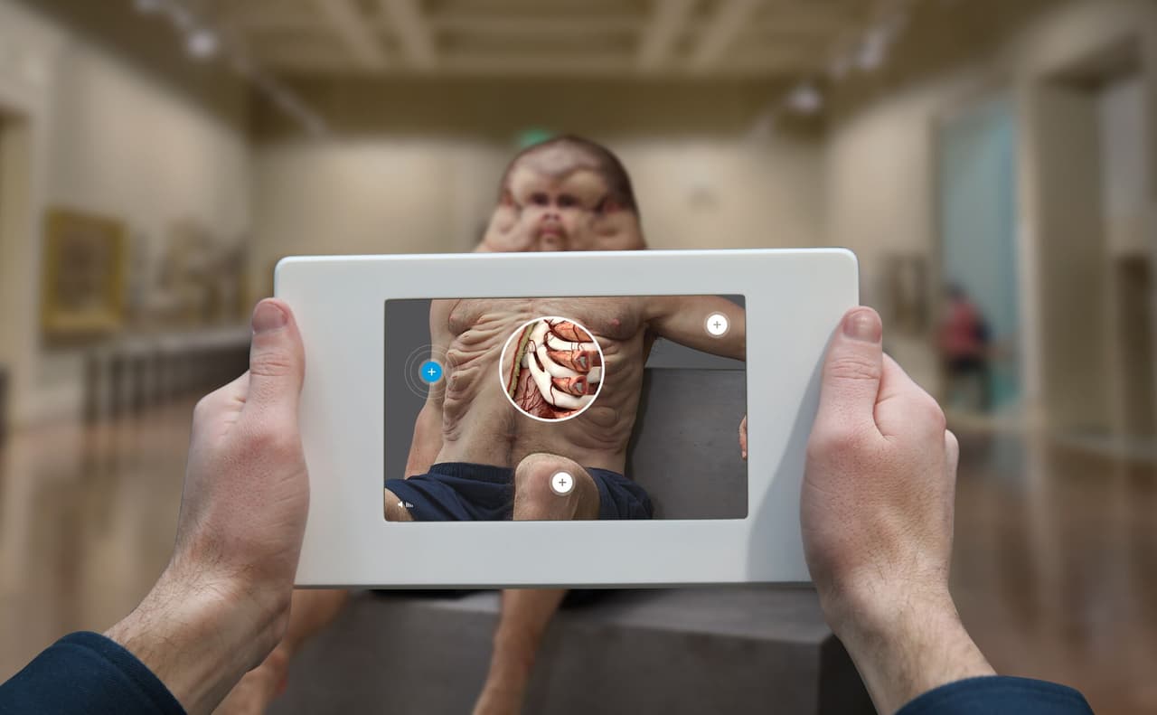 El equipo reforzó la caja torácica de Graham, añadiendo un sistema vejigas que sueltan líquido en caso de impacto a fin de absorber la energía.