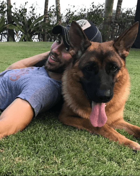 Otro artista que disfruta de la compañía y existencia de los animales es Enrique Iglesias.