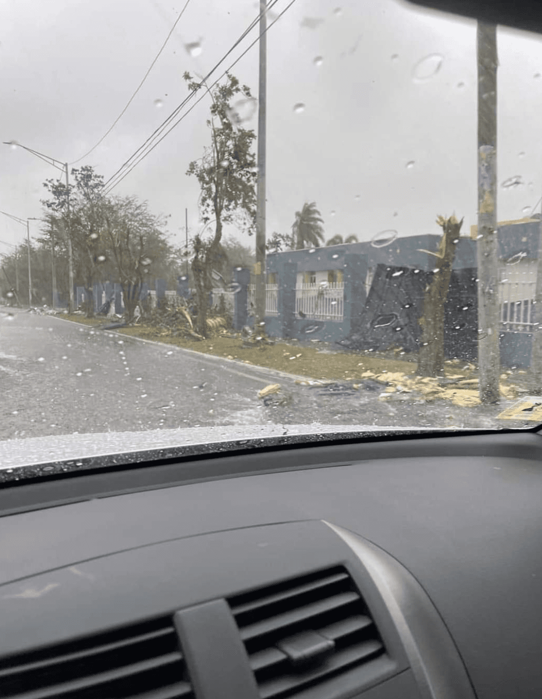 ¿Cuán fuertes eran los vientos? La imagen permite observar lo que hicieron con ese árbol.