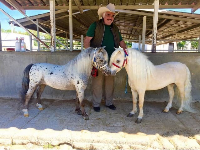 Lo cierto es que 'Chente´es muy activo en redes sociales, apenas compartió esta linda imagen con dos de sus pequeños caballos.