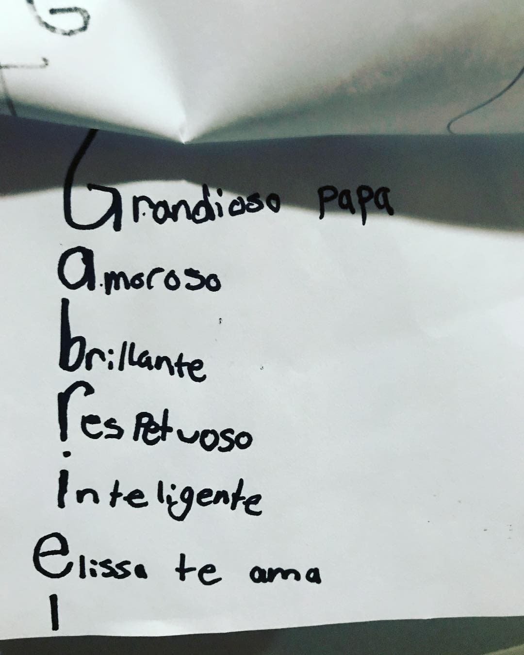 Este es el bello mensaje que escribió Elissa Marie a su famoso padre: "No soy mucho de publicar todo lo que me hacen mis hijas, pero este acróstico que me hizo Elissa ayer me llegó hasta lo más profundo de mi corazón", compartió Gabriel Soto.