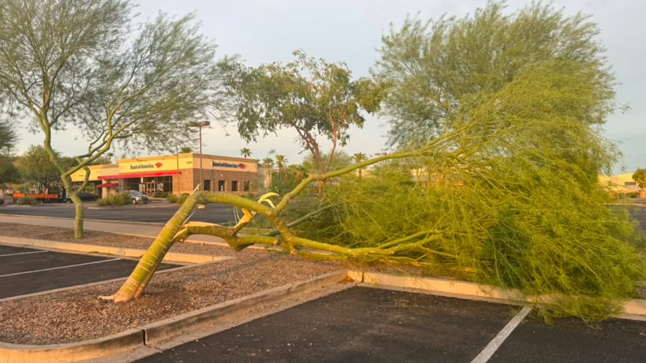 Miles de clientes sin energía eléctrica tras el paso de tormentas eléctricas y una tormenta de polvo