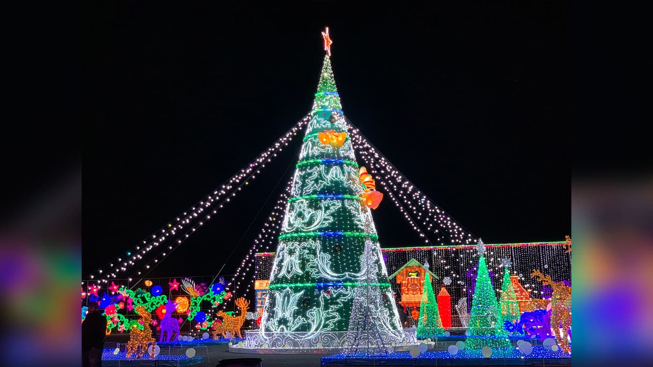 Puedes disfrutar del encuentro y la bienvenida de Santa, espectáculos culturales y más.