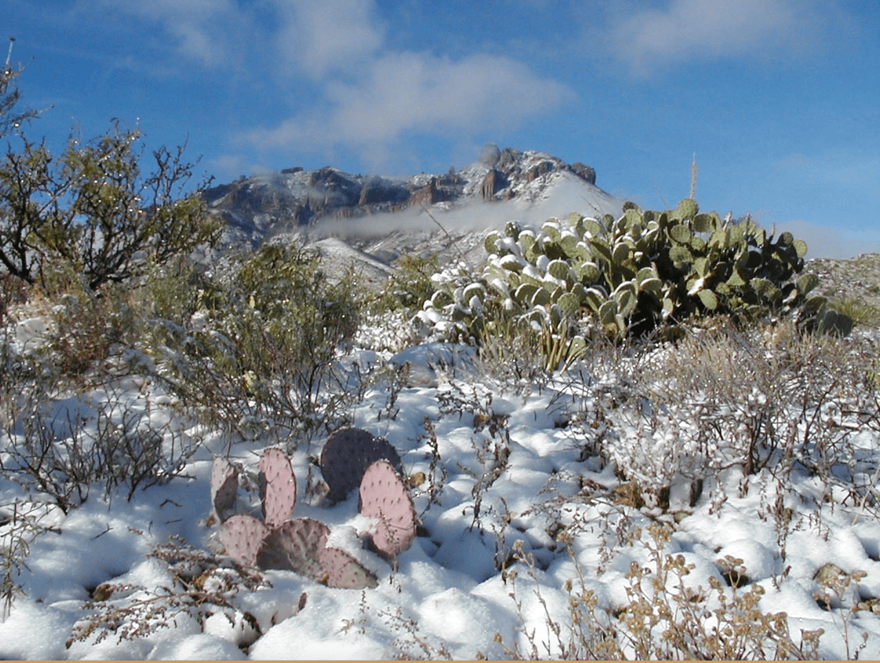 <b>Big Bend | </b>Hay un lugar en el lejano oeste de Texas donde los cielos nocturnos son oscuros como el carbón y los ríos tallan cañones como templos en la antigua piedra caliza. Aquí, al final del camino, cientos de especies de aves se refugian en una solitaria cordillera rodeada de un desierto azotado por el clima. Tenaz floración de cactus en el sublime sol del suroeste, y la diversidad de especies es la mejor del país. Este lugar mágico es Big Bend.