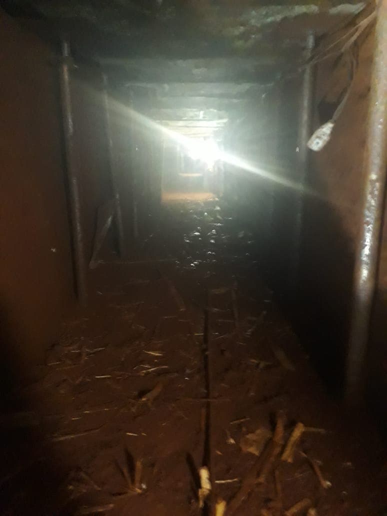 Lo intentaron, pero no lo consiguieron. Un grupo de delincuentes intentó robar un banco abriendo un túnel, al estilo de 'El Chapo', por el que acceder al botín, pero su plan no acabó bien y dos de los sospechosos murieron en un enfrentamiento con las autoridades.
<br>