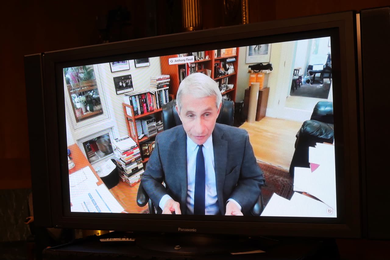 El doctor Anthony Fauci habla vía teleconferencia. (foto de archivo)