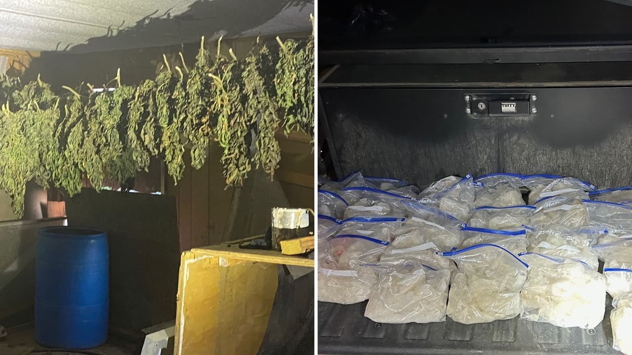 Operativos en Kern y Los Ángeles dejan incautadas más de 10,000 plantas de cannabis y cientos de libras de metanfetamina
