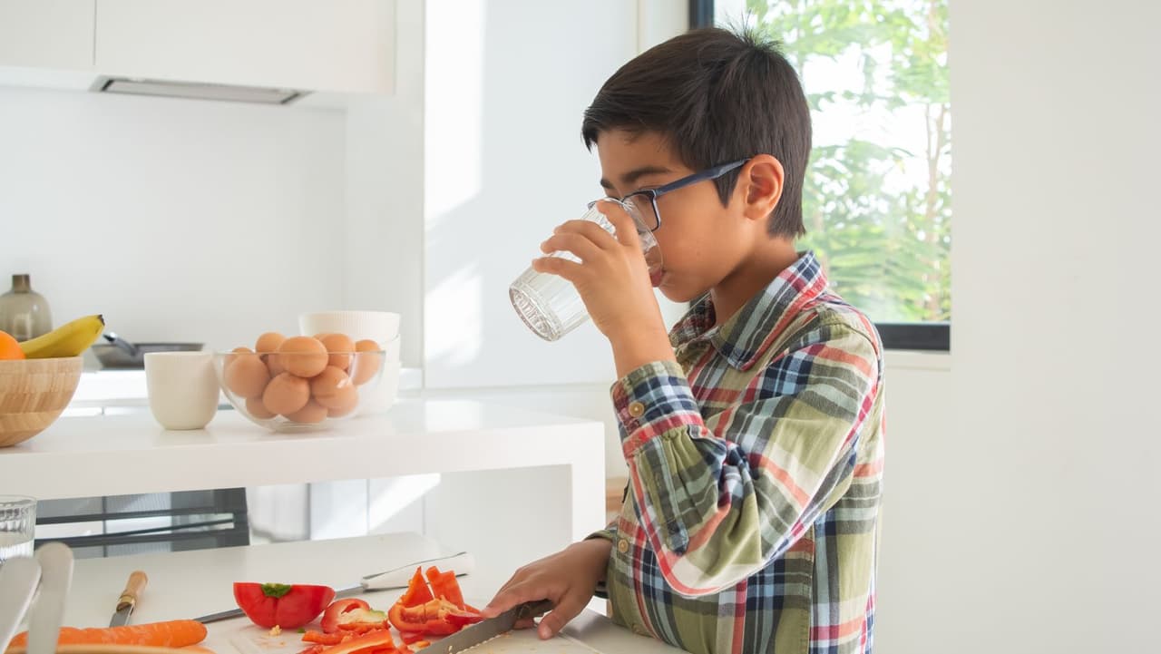 Puede que no pienses en el agua como un refrigerio saludable para el verano, pero cuando las temperaturas son altas, la
<b>deshidratación</b> es un riesgo real. Asegúrese de que todos en su familia, especialmente los niños, obtengan suficiente agua de alta calidad en los meses de verano. Incluso puede darle
<b> sabor con frutas</b> o
<b>hierbas</b> para darle un toque divertido que encantará a toda la familia. Prueba la menta o el pepinillo. ¡Es refrescante!