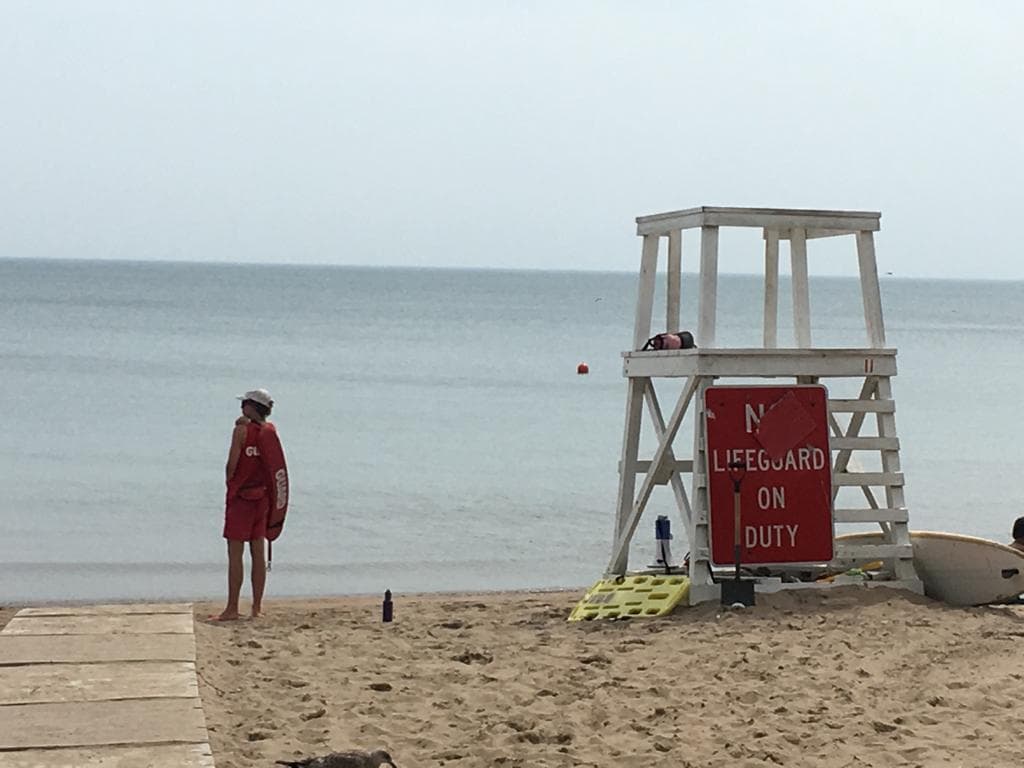 Cierran cuatro playas de Evanston por altos niveles de bacteria E. Coli