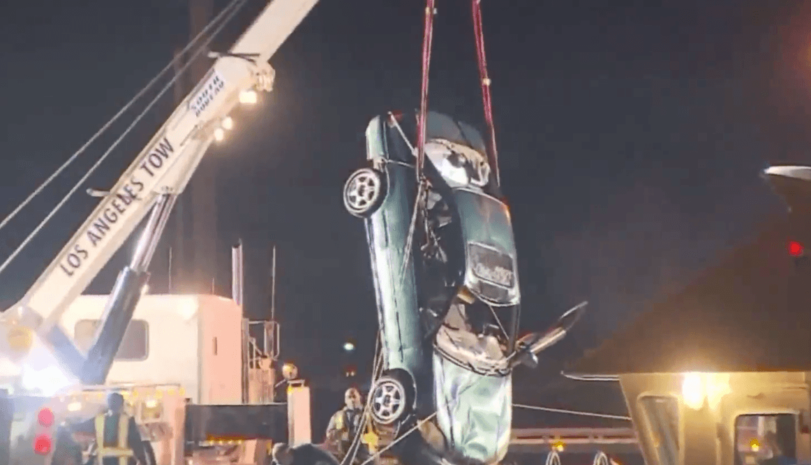 Sus dos hijos con autismo murieron en un accidente, pero ahora una investigación revela una oscura trama