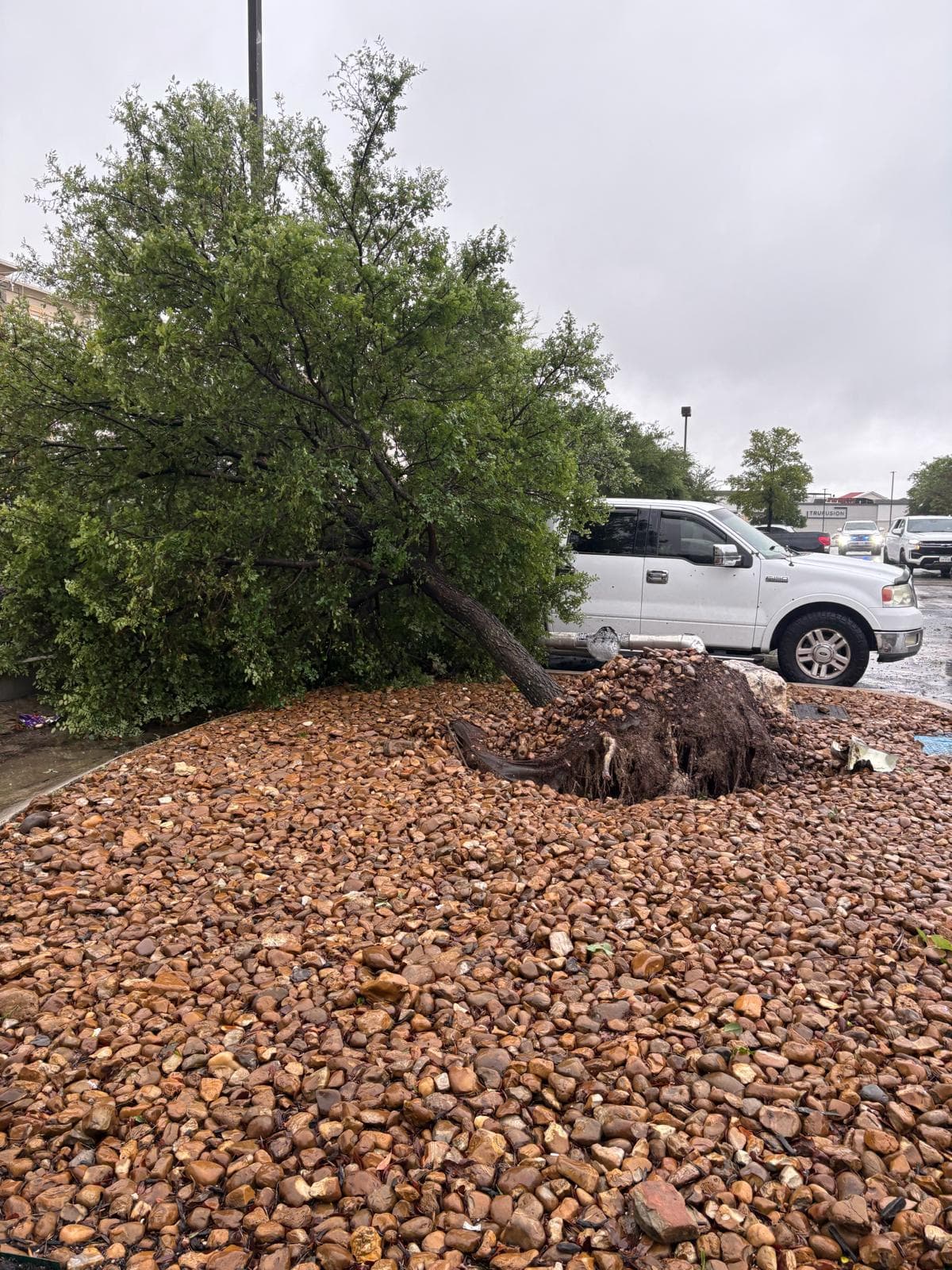El noroeste del condado de Bexar permanece bajo una Advertencia de Inundación Repentina.