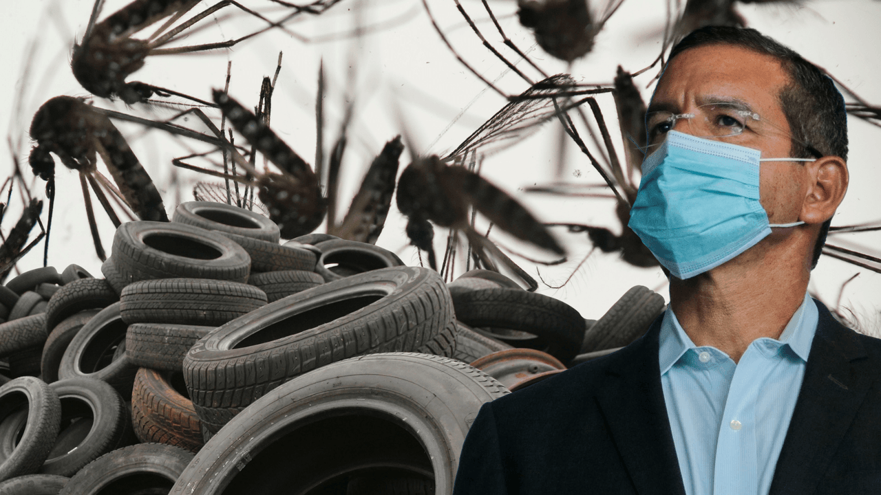 Muere una mujer por dengue en Puerto Rico y Pierluisi alerta por desechos de neumáticos que son nidos de mosquitos